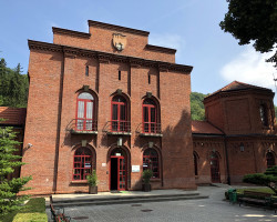 woodociagi
