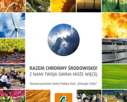 zielone dachy