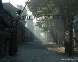 auschwitz birkenau